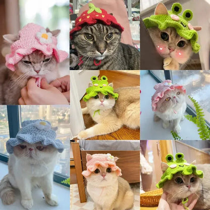 Cute and Elegant Pet Hat